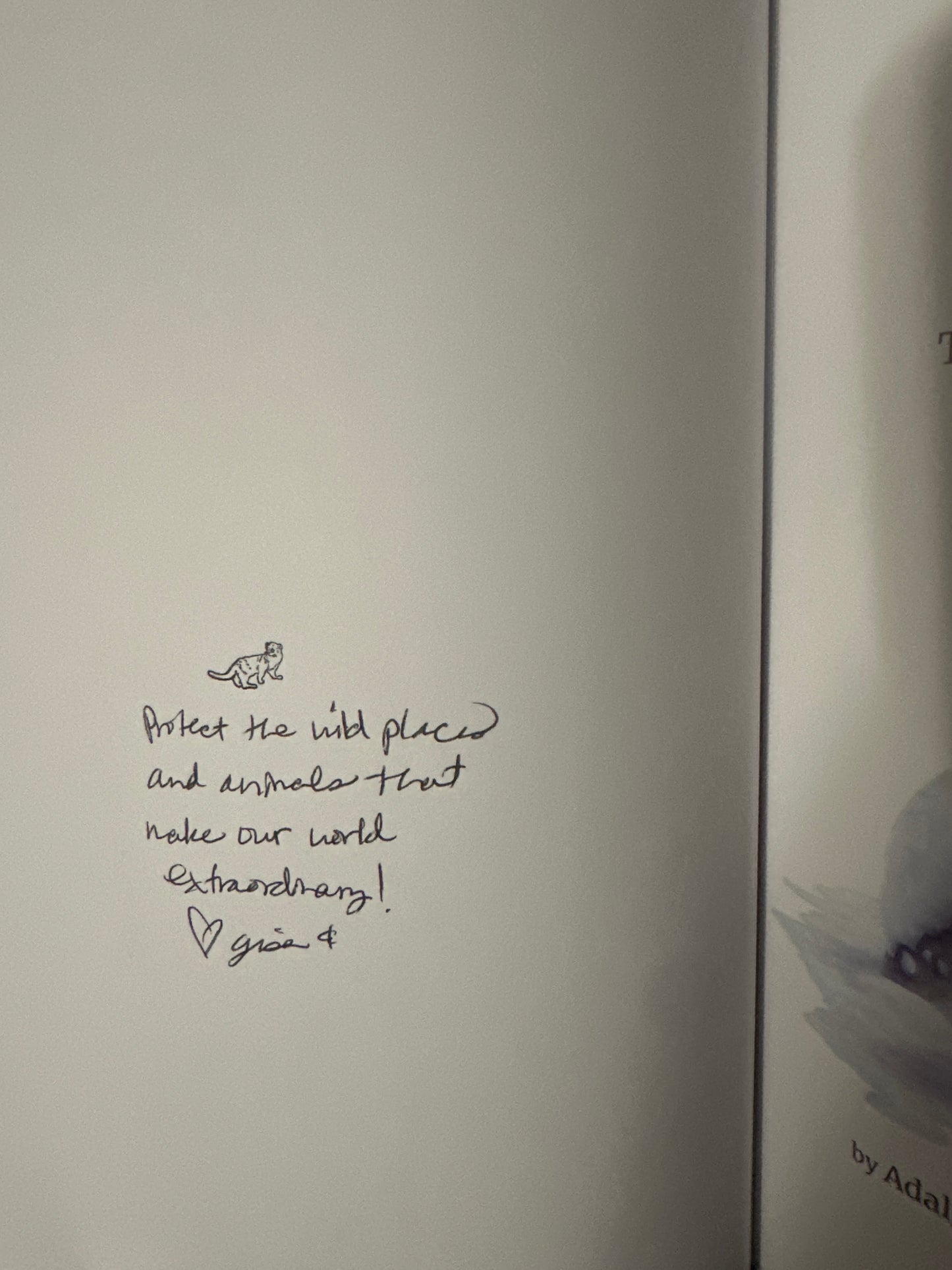 Fishers in the Forest: The Pacific Fishers in Sequoia and Kings Canyon