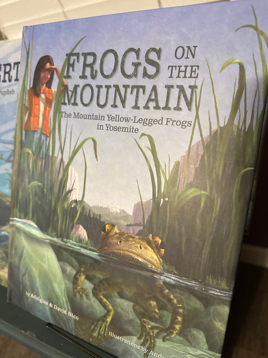 Frogs On the Mountain: The Mountain Yellow-Legged Frogs in Yosemite