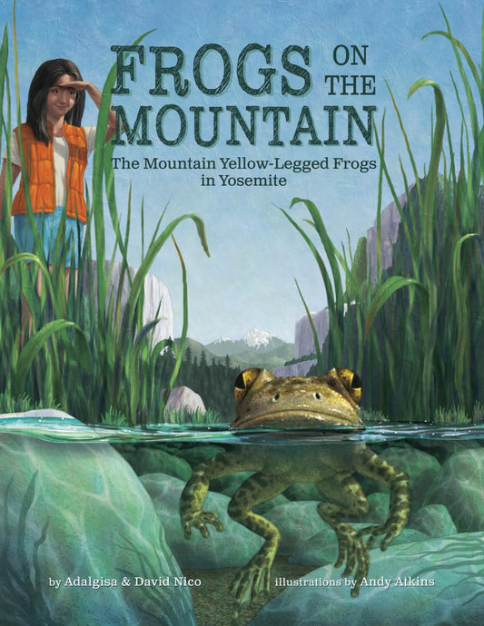Frogs On the Mountain: The Mountain Yellow-Legged Frogs in Yosemite